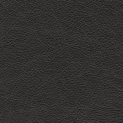 Amiata Sofa - Jax Mattress (Jacksonville, FL)