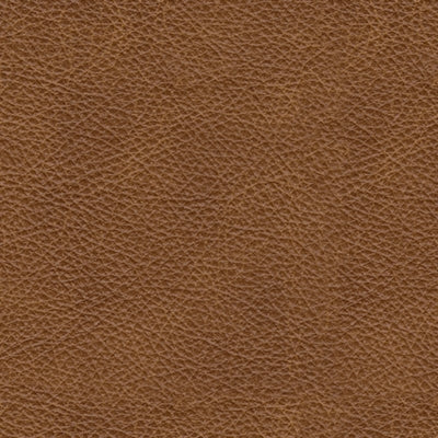 Carianna Sofa Sleeper - Jax Mattress (Jacksonville, FL)