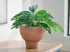 Orban Vase - Jax Mattress (Jacksonville, FL)