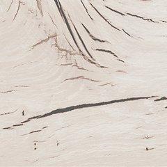 Lawroy Bed - Jax Mattress (Jacksonville, FL)