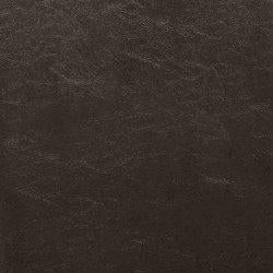 Kimonte Dining Chair Set - Jax Mattress (Jacksonville, FL)
