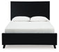 Danziar Bed - Jax Mattress (Jacksonville, FL)