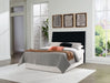 Danziar Bed - Jax Mattress (Jacksonville, FL)