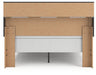 Broachmyn Bed - Jax Mattress (Jacksonville, FL)