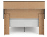 Broachmyn Bed - Jax Mattress (Jacksonville, FL)