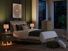 Cielden Bed - Jax Mattress (Jacksonville, FL)