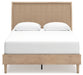 Cielden Bed - Jax Mattress (Jacksonville, FL)