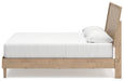 Cielden Bed - Jax Mattress (Jacksonville, FL)