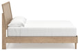 Cielden Bed - Jax Mattress (Jacksonville, FL)