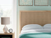Cielden Bed - Jax Mattress (Jacksonville, FL)