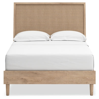 Cielden Bed - Jax Mattress (Jacksonville, FL)