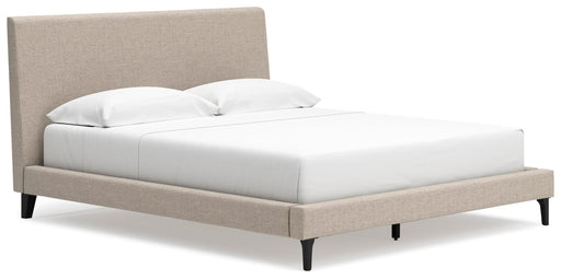 Cielden Upholstered Bed with Roll Slats - Jax Mattress (Jacksonville, FL)