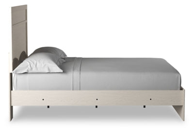 Stelsie Bed - Jax Mattress (Jacksonville, FL)