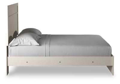 Stelsie Bed - Jax Mattress (Jacksonville, FL)