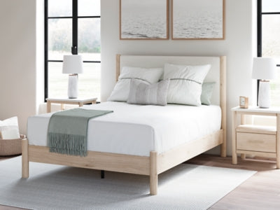 Cadmori Upholstered Bed - Jax Mattress (Jacksonville, FL)