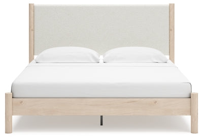 Cadmori Upholstered Bed - Jax Mattress (Jacksonville, FL)