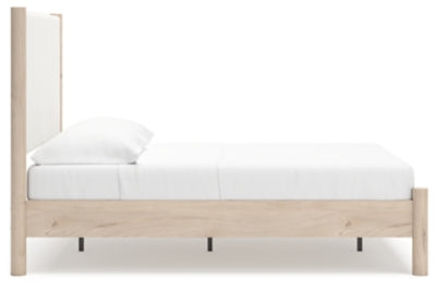 Cadmori Upholstered Bed - Jax Mattress (Jacksonville, FL)