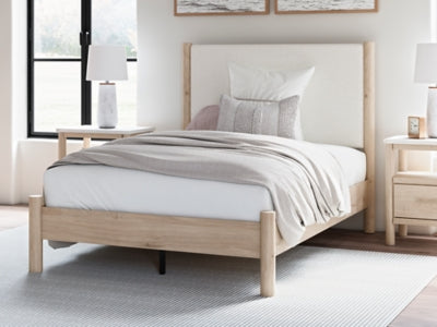 Cadmori Upholstered Bed - Jax Mattress (Jacksonville, FL)