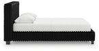 Zuraleus Bed - Jax Mattress (Jacksonville, FL)