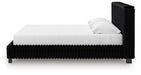 Zuraleus Bed - Jax Mattress (Jacksonville, FL)