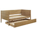 Calinda Daybed with Trundle - Jax Mattress (Jacksonville, FL)