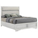 Miranda Beds 2 - Jax Mattress (Jacksonville, FL)