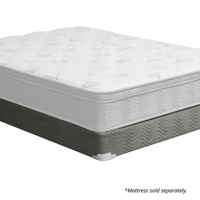 Aleksa Grey Foundation, Queen - Jax Mattress (Jacksonville, FL)