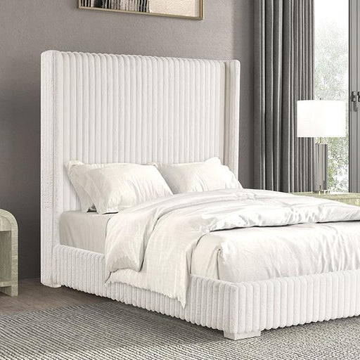 Cadwell E.King, Queen, & Full Bed White, Gray, & Black - Jax Mattress (Jacksonville, FL)