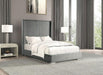 Cadwell E.King, Queen, & Full Bed White, Gray, & Black - Jax Mattress (Jacksonville, FL)