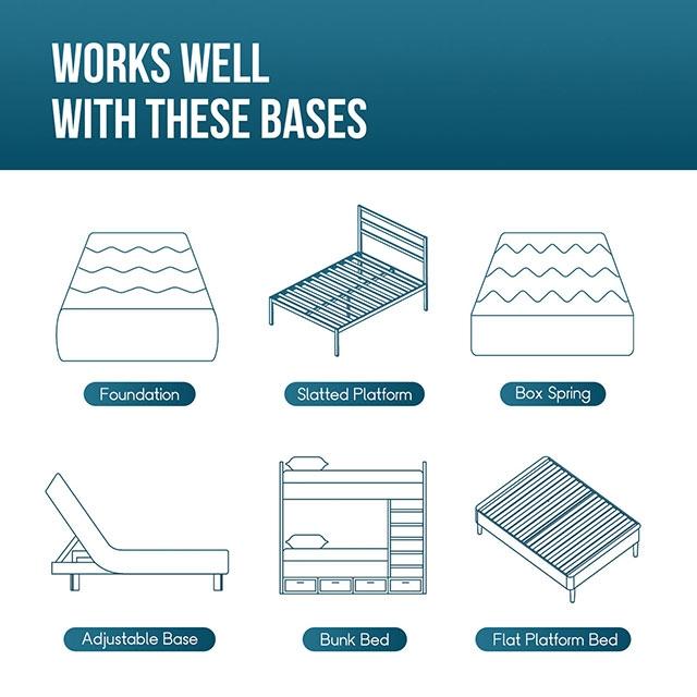 Artemisia 6" Full, Queen, & Twin Memory Foam Mattress - Jax Mattress (Jacksonville, FL)