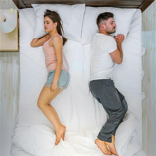 Edelweiss 8" Queen Memory Foam Mattress - Jax Mattress (Jacksonville, FL)