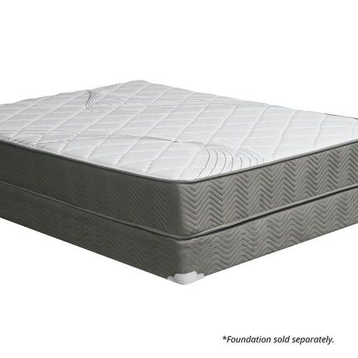 EDREA White/Gray 10" Tight Top Pocket Coil, Full - Jax Mattress (Jacksonville, FL)