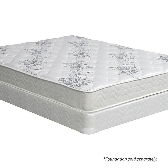 ELBERTYNA White 8" Tight Top Mattress, Twin - Jax Mattress (Jacksonville, FL)