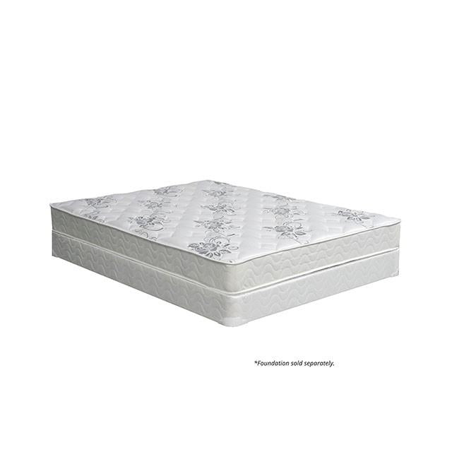 ELBERTYNA White 8" Tight Top Mattress, Twin - Jax Mattress (Jacksonville, FL)