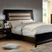 Golva Bed Beige & Black - Jax Mattress (Jacksonville, FL)