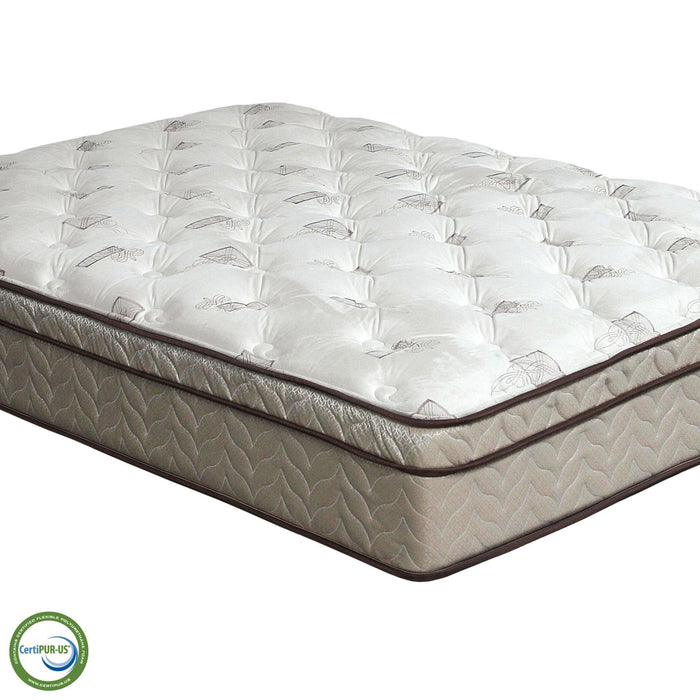 Lilium White/Brown 13" Euro Pillow Top, Queen - Jax Mattress (Jacksonville, FL)