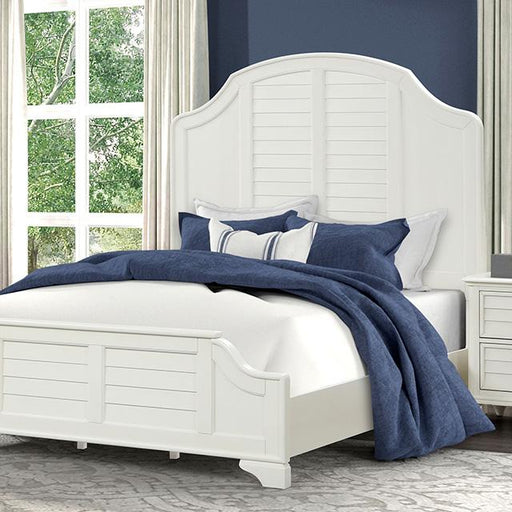 Whitehaven Bed - Jax Mattress (Jacksonville, FL)