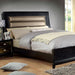 Golva Bed Cal.King & E.King - Jax Mattress (Jacksonville, FL)
