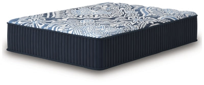 Firm Luxe 2.0 Mattress - Jax Mattress (Jacksonville, FL)