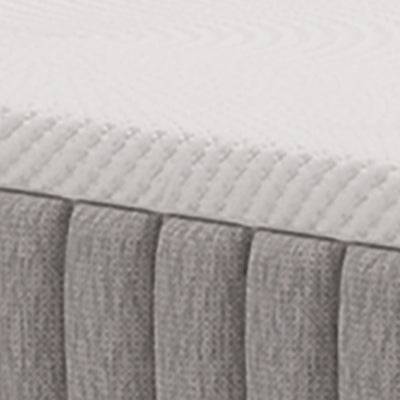 Terra Sleep Soft Mattress - Jax Mattress (Jacksonville, FL)