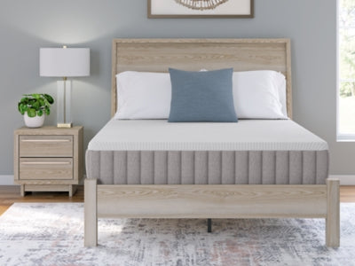Terra Sleep Firm Mattress - Jax Mattress (Jacksonville, FL)