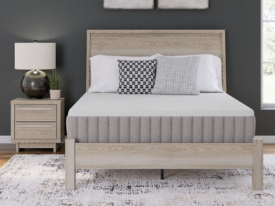 Terra Sleep Medium Mattress - Jax Mattress (Jacksonville, FL)