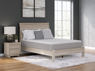Terra Sleep Medium Mattress - Jax Mattress (Jacksonville, FL)