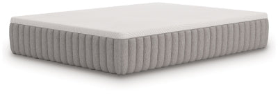 Terra Sleep Soft Mattress - Jax Mattress (Jacksonville, FL)