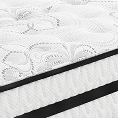 Chime 10 Inch Hybrid Mattress in a Box - Jax Mattress (Jacksonville, FL)