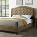 Carly Cal.King, E.King, Full, & Queen Bed Grey & Brown - Jax Mattress (Jacksonville, FL)