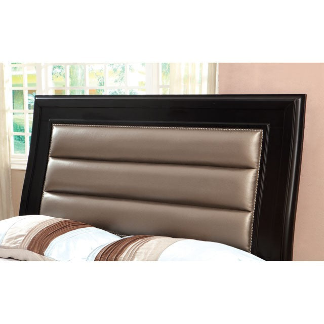Golva Bed Beige & Black - Jax Mattress (Jacksonville, FL)