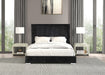 Cadwell E.King, Queen, & Full Bed White, Gray, & Black - Jax Mattress (Jacksonville, FL)
