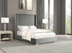 Cadwell E.King, Queen, & Full Bed White, Gray, & Black - Jax Mattress (Jacksonville, FL)